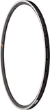 HED Belgium Plus 700c Rim 28h with MSW, Black